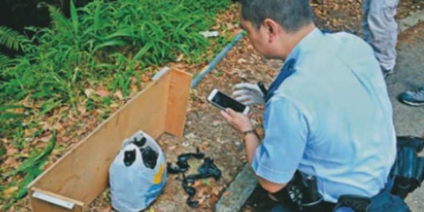 开云在线-香港富豪孙女被绑架，绑匪拿到2800万后逃跑，警方最新透露：女事主镇定、有条理，一个线索成破案关键